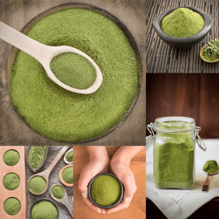 Moringa Leaf Powder: The Perfect Addition to Your Wellness