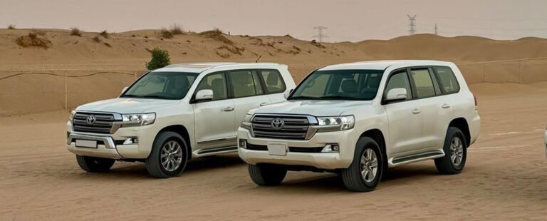 Dubai Desert Safari Tours: Experience the Adventure of a Lifetime