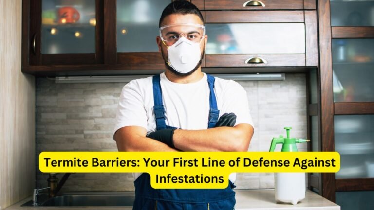 Termite Barriers: Your Best Defense Against Infestations