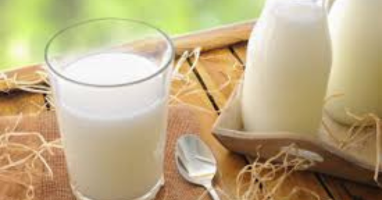 What are the benefits of drinking A2 cow milk in Chennai?