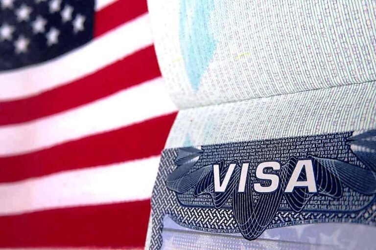 usa visa consultant